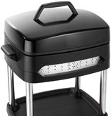 FRITEL BBQ 3256 Elektrische Barbecue & Tafelgrill 2