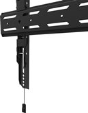 Neomounts by Newstar Select WL30S-850BL18 13