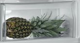 Whirlpool ARG100712 inbouw koelkast 3