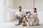 Dyson Pet Grooming Kit - Steelstofzuiger Accessoire 7