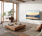 Panasonic TV-65Z90AE6 4K OLED TV 9