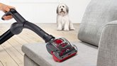 BOSCH BGC41PET Serie 6 ProAnimal Stofzuiger zonder Zak - Rood 10