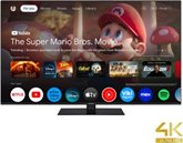 Panasonic TN-43W70AEZ 4K LED Google TV  2