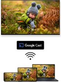 Thomson Streaming Stick 145 11