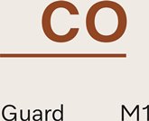 Miele CO HyClean Pure Stofzuigerzak HyClean Pure CO 5