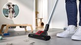BOSCH BGB8PET3A Serie 8 ProAnimal Stofzuiger met Zak - Rood 3