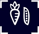 Siemens KS36VGIDP iQ300 extraKlasse Koelkast 11