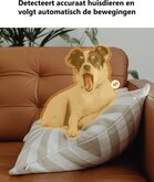  Imou Rex 3D - 3K: Slimme Binnenbewaking  12