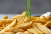 FRITEL SF 4605 Profi Friteuse 4