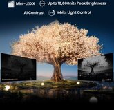 Hisense 110UXNQ TV (2025) 2