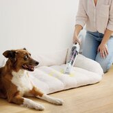 Shark HX001EUT StainForce Stoomreiniger 8