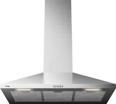 ETNA AP491RVS Schouwkap  3