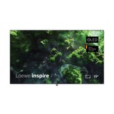 Loewe inspire 77 (incl. WM)  1