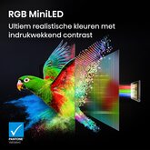Hisense 55UR8S RGB MiniLED 4K 180Hz Smart TV (2026) 4