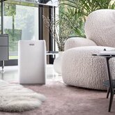 DeLonghi DEP210 Tasciugo AriaDry Start Luchtontvochtiger 2