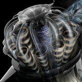 Dyson V8 Cyclone Steelstofzuiger  5