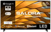 Salora 32HGS3000 HD TV 1