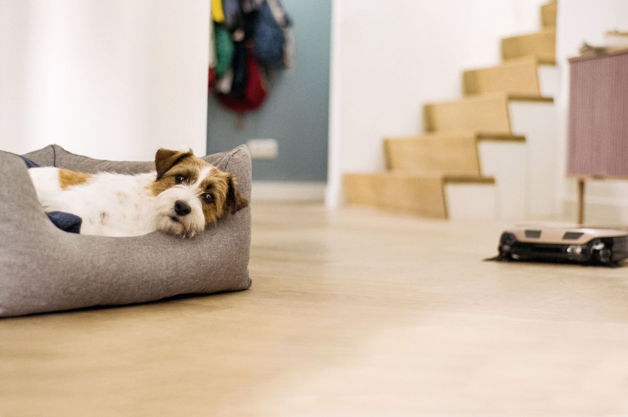 Miele Scout RX3 Home Vision robotstofzuiger 18