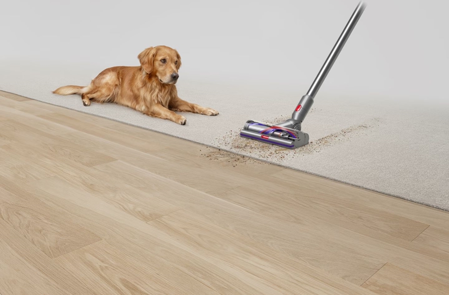 Dyson V15 Detect Absolute Steelstofzuiger 9