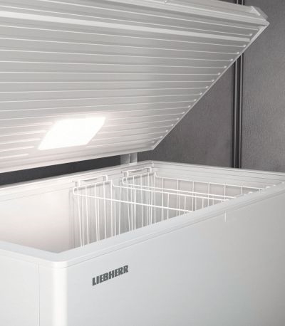 Liebherr CFe 2500-26 vrieskist 5