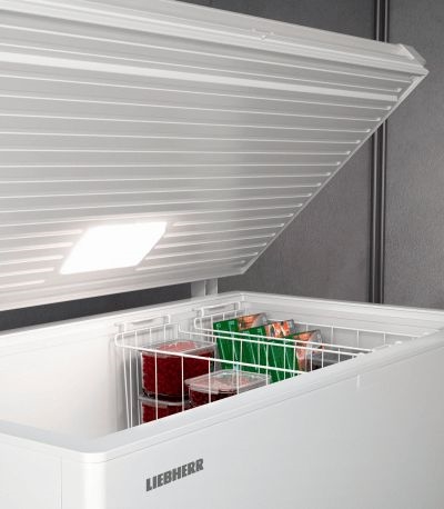 Liebherr CFe 2500-26 vrieskist 6