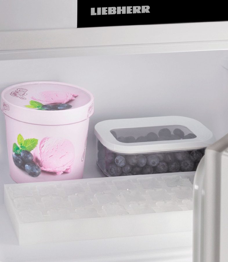 Liebherr Rd 1201 Pure tafelmodel koelkast 10