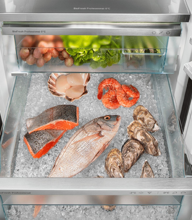 Liebherr RBstd 528i Peak Koelkast 12