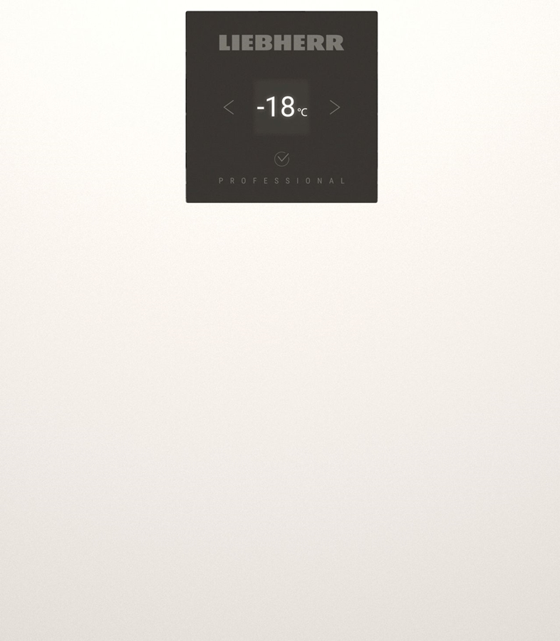 Liebherr FFFsg 5501/740 Performance gastonomie vriezer 6