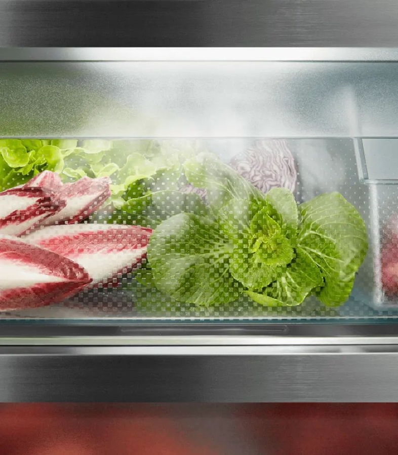 Liebherr RBbsc 528i Peak BioFresh Vrijstaande Koelkast  12