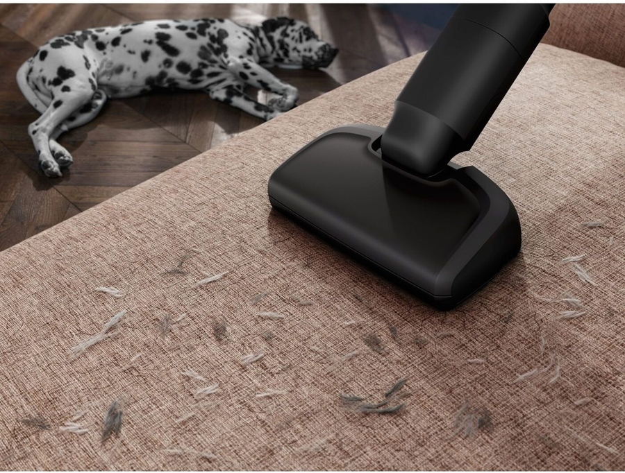 AEG ZE182 PetPro Mondstu 2