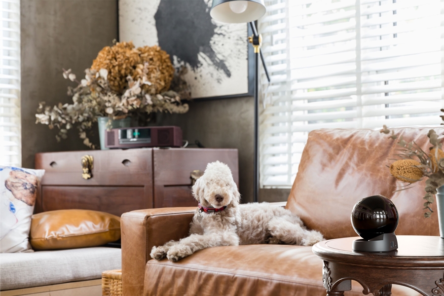  Imou Rex 3D - 3K: Slimme Binnenbewaking  8