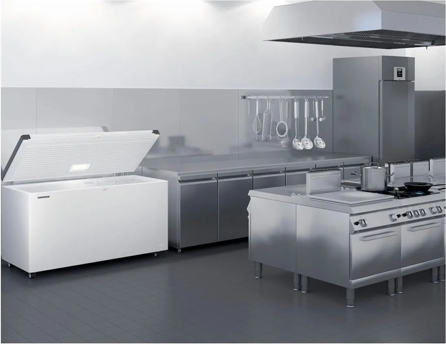 Liebherr EFL 3055-21 Vrieskist  8