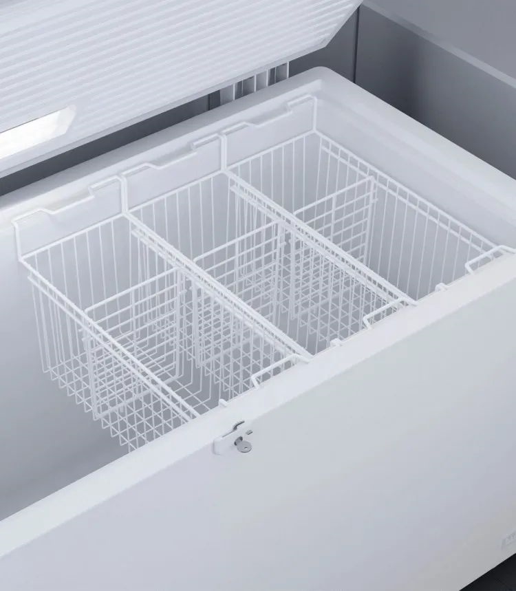 Liebherr EFL 3056-21 Vrieskist 4