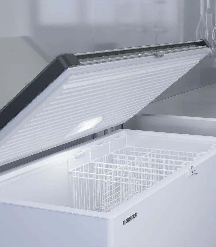 Liebherr EFL 4656-21 Vrieskist 10