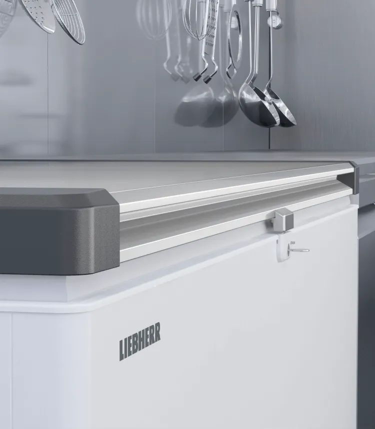 Liebherr EFL 4656-21 Vrieskist 8