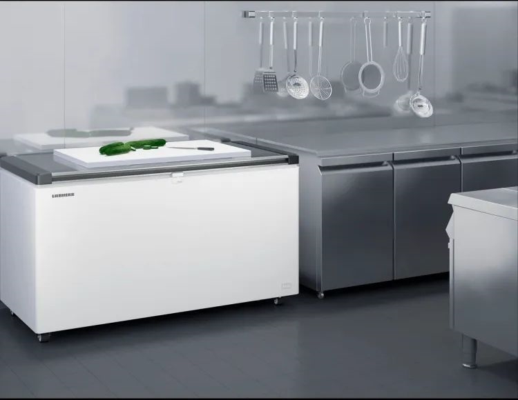 Liebherr EFL 4656-21 Vrieskist 9