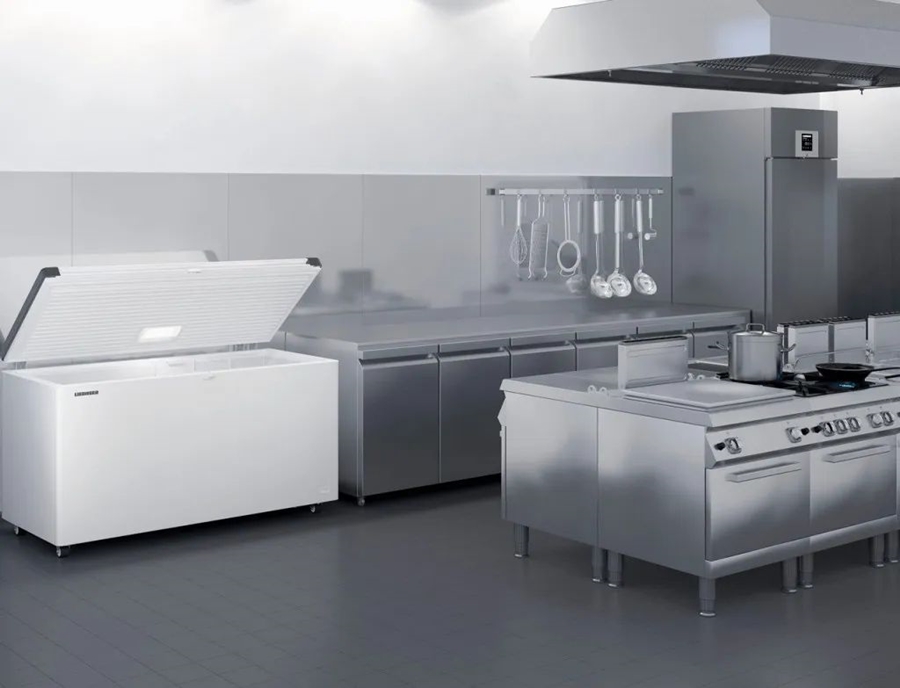 Liebherr EFL 6055-21 Vrieskist 8