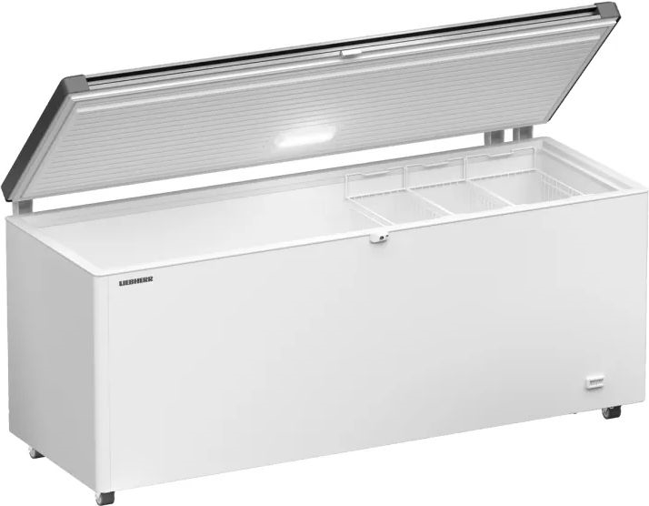 Liebherr EFL 6056-21 Vrieskist 1