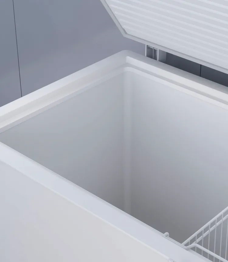 Liebherr EFL 6056-21 Vrieskist 2