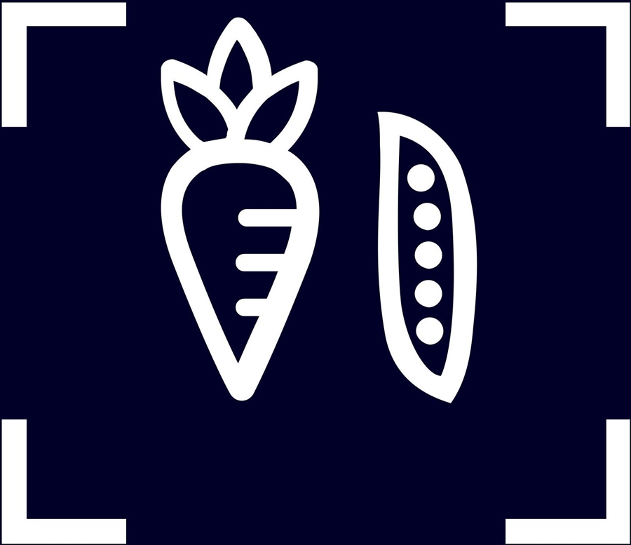 Siemens KS36VGIDP iQ300 extraKlasse Koelkast 11