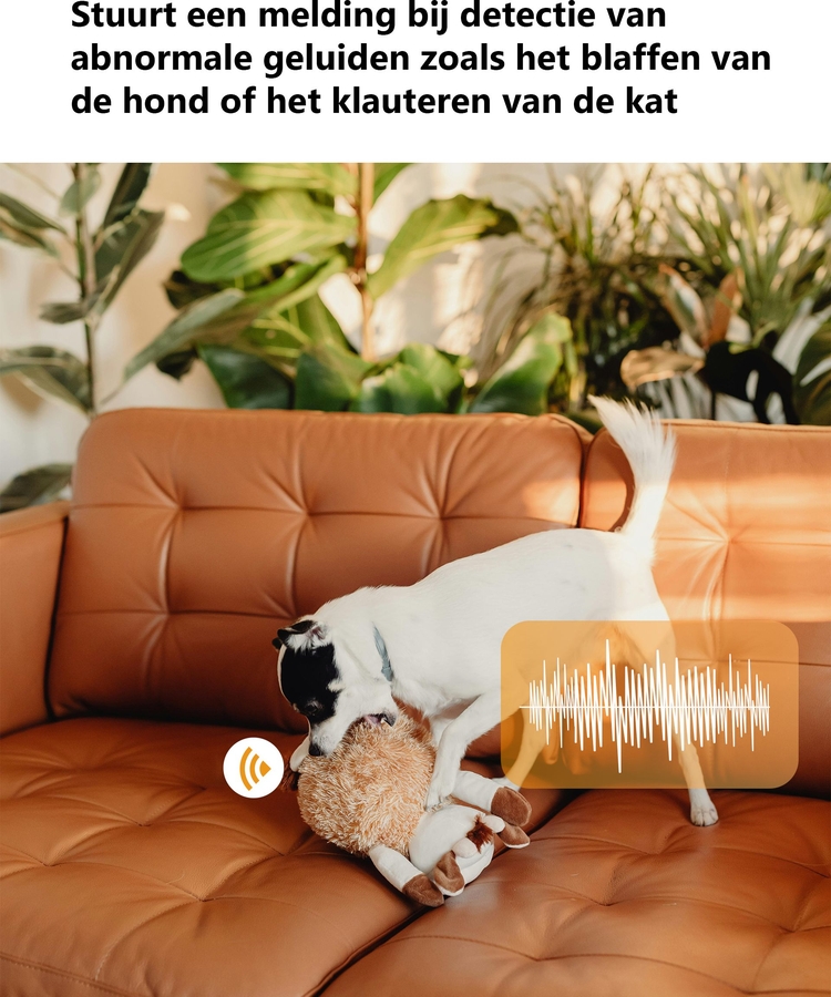  Imou Rex 3D - 3K: Slimme Binnenbewaking  11