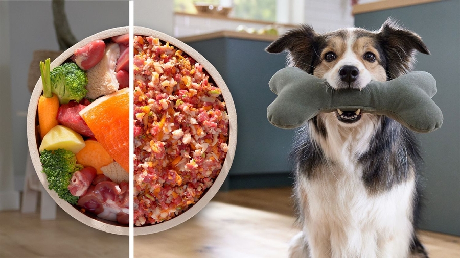 BOSCH MFWS641B Serie 6 Vleesmolen  15