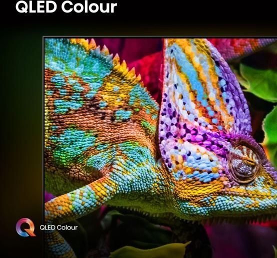 Hisense 55E79Q PRO TV (2025) 5