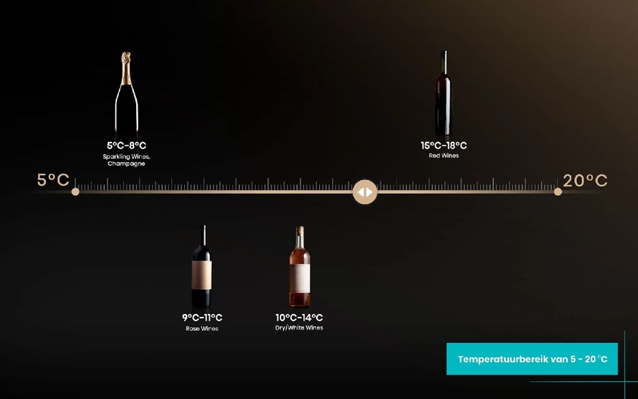 ETNA WKV584 Wijnklimaatkast 11