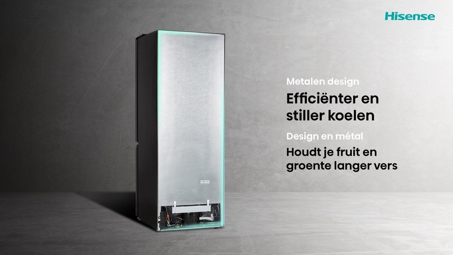 Hisense RB390N4BWC Koel-vriescombinatie 7