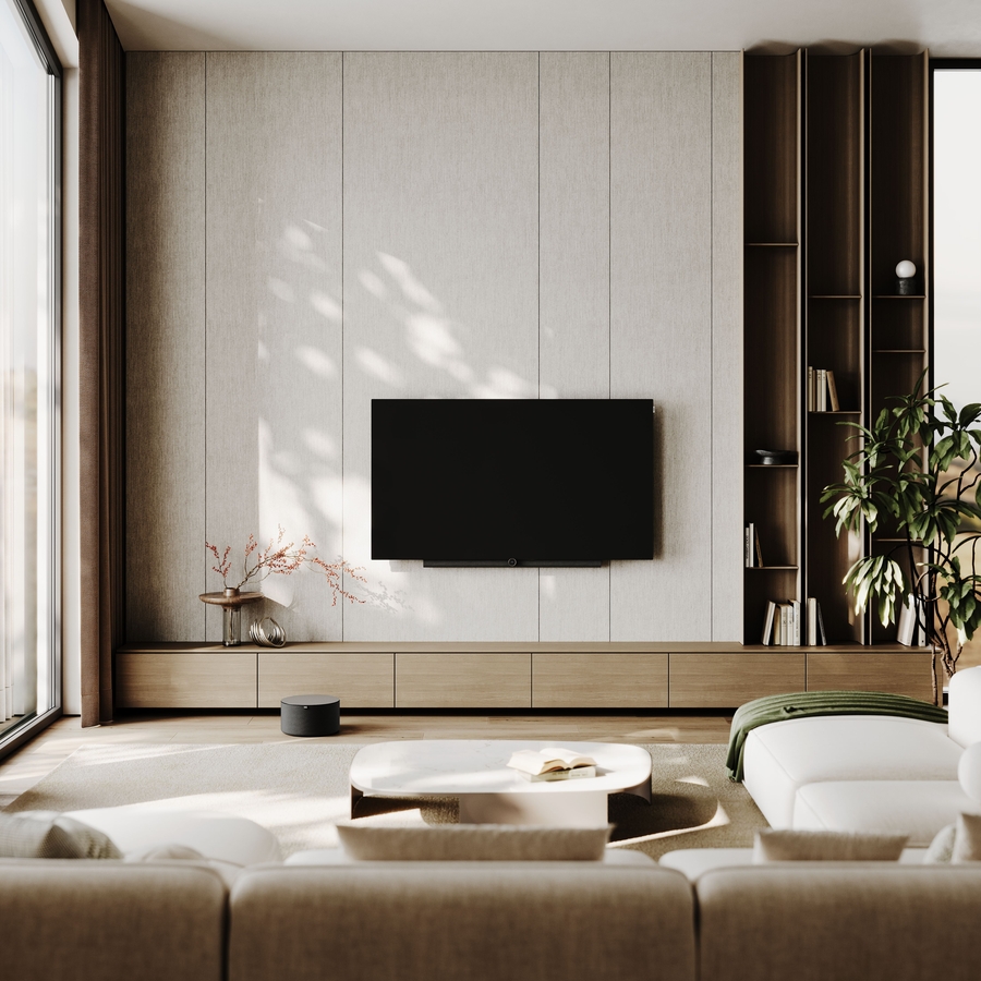 Loewe inspire 65 dr+ TV 9