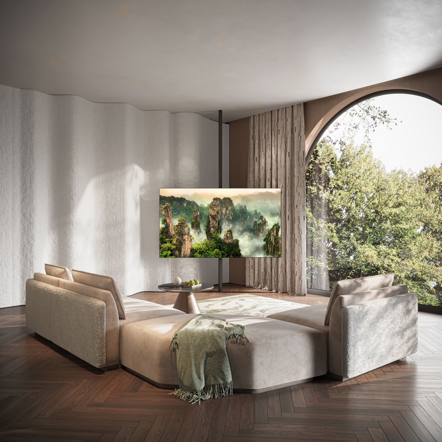 Loewe inspire 77 (incl. WM)  2