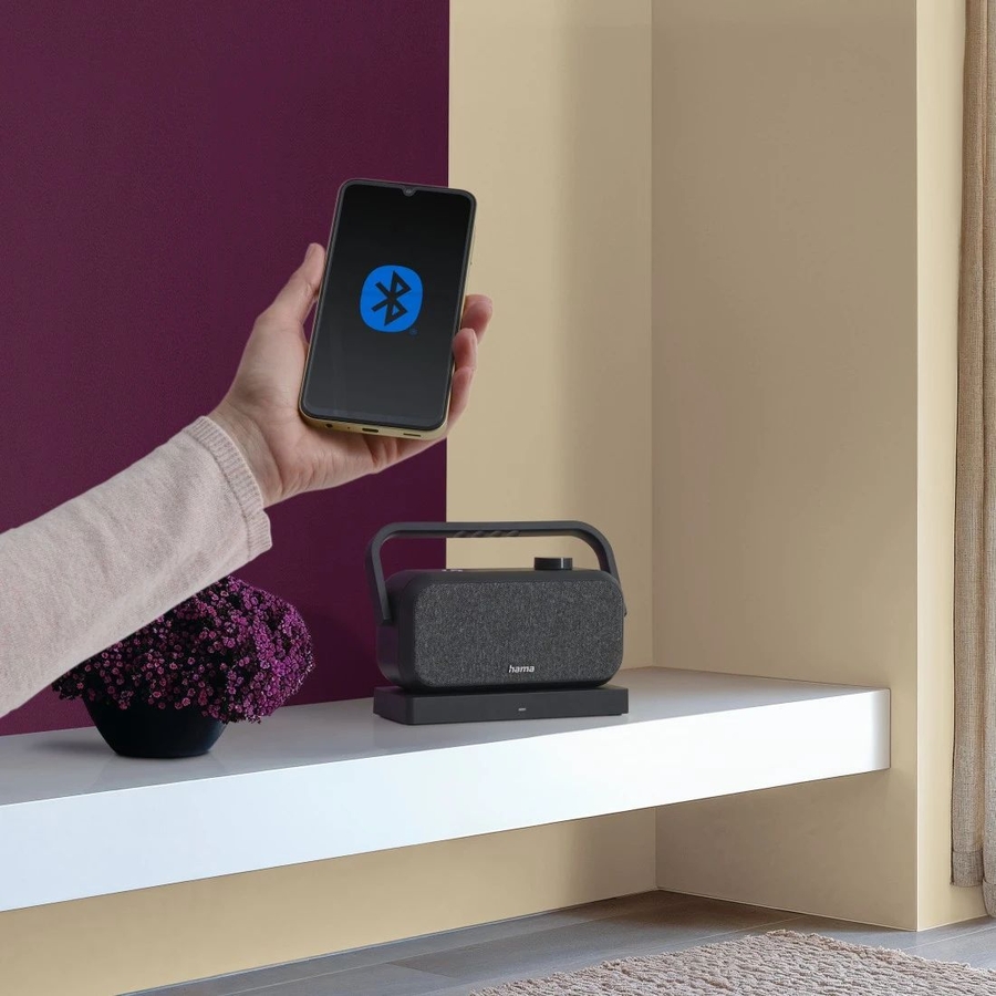 Hama Draagbare TV‑luidspreker met 2,4 GHz station & Bluetooth 13