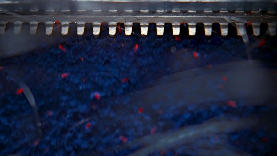 Dyson Clean & Wash Hygiene Reiniger 7