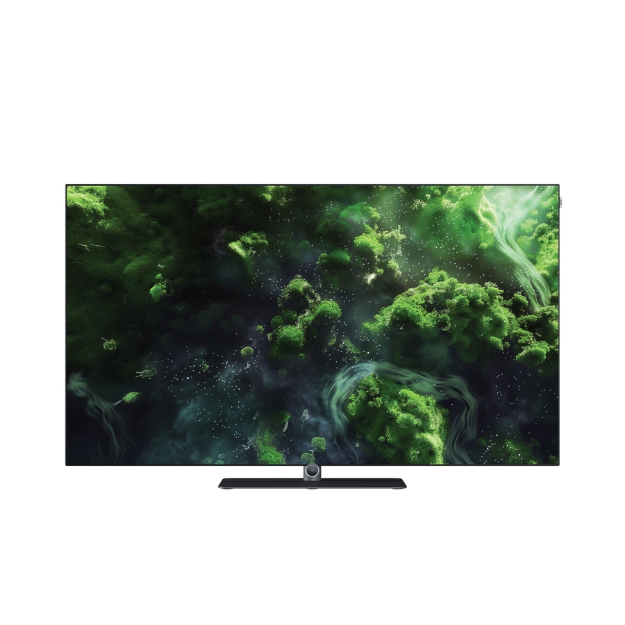 Loewe inspire 55 dr+ TV 4